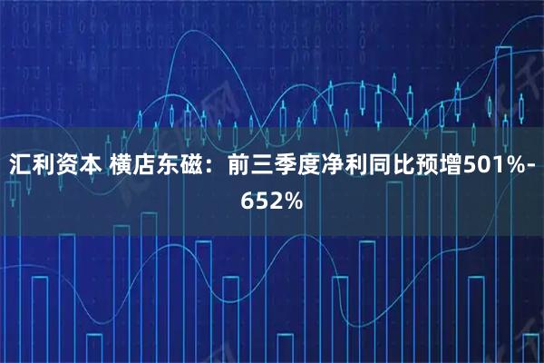 汇利资本 横店东磁：前三季度净利同比预增501%-652%