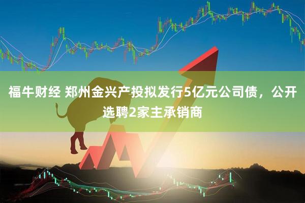 福牛财经 郑州金兴产投拟发行5亿元公司债，公开选聘2家主承销商